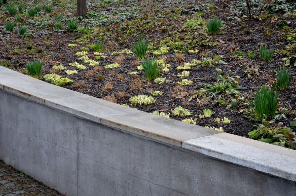 Concrete Wall Construction in Sherman