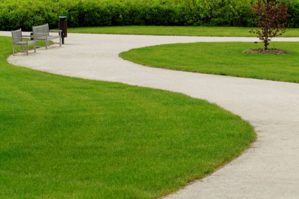 Sidewalk Concrete Service in Sherman