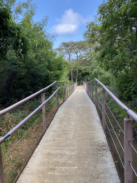 Footpath Construction in Sherman