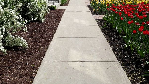 Cement Sidewalk Installation in Sherman