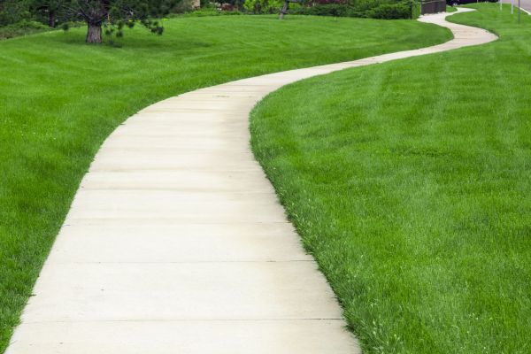 Pathway Replacement in Sherman