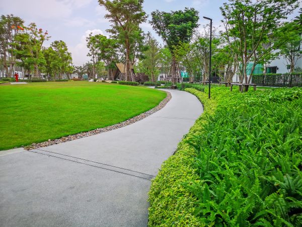 Cement Walkway Service in Sherman