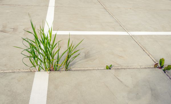 Concrete Parking Installation in Sherman