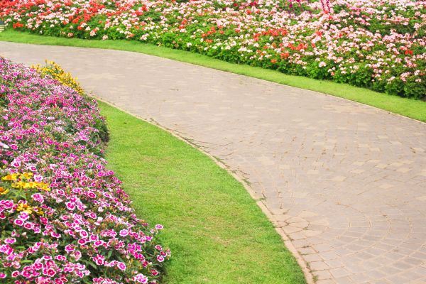 Concrete Walkway Service in Sherman